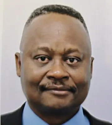 Emmanuel O. Iheukwumere, Esquire Professional Litigation Experience